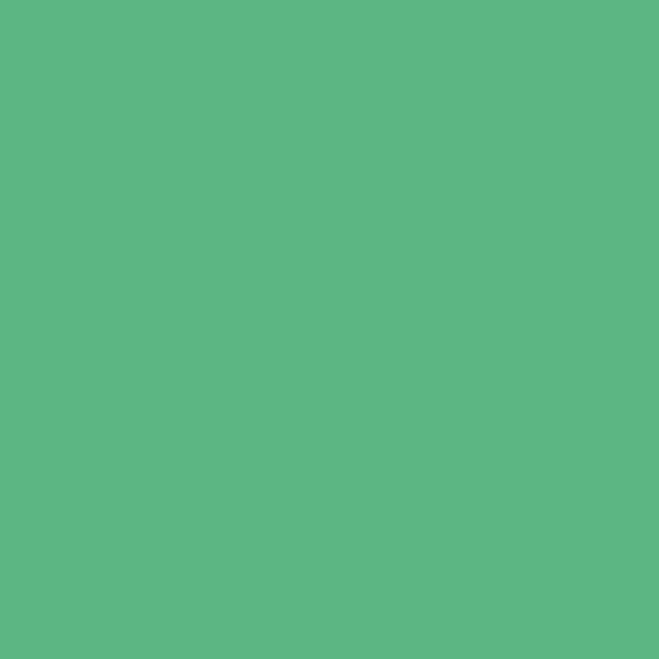 Superior Paper | Mint Green 2.75m